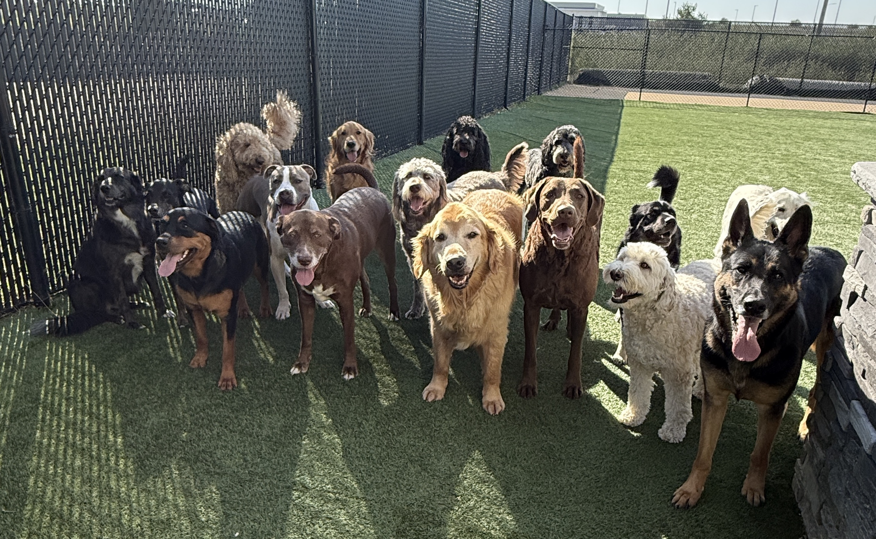 Eastern Iowa Pet Resort - Image 1