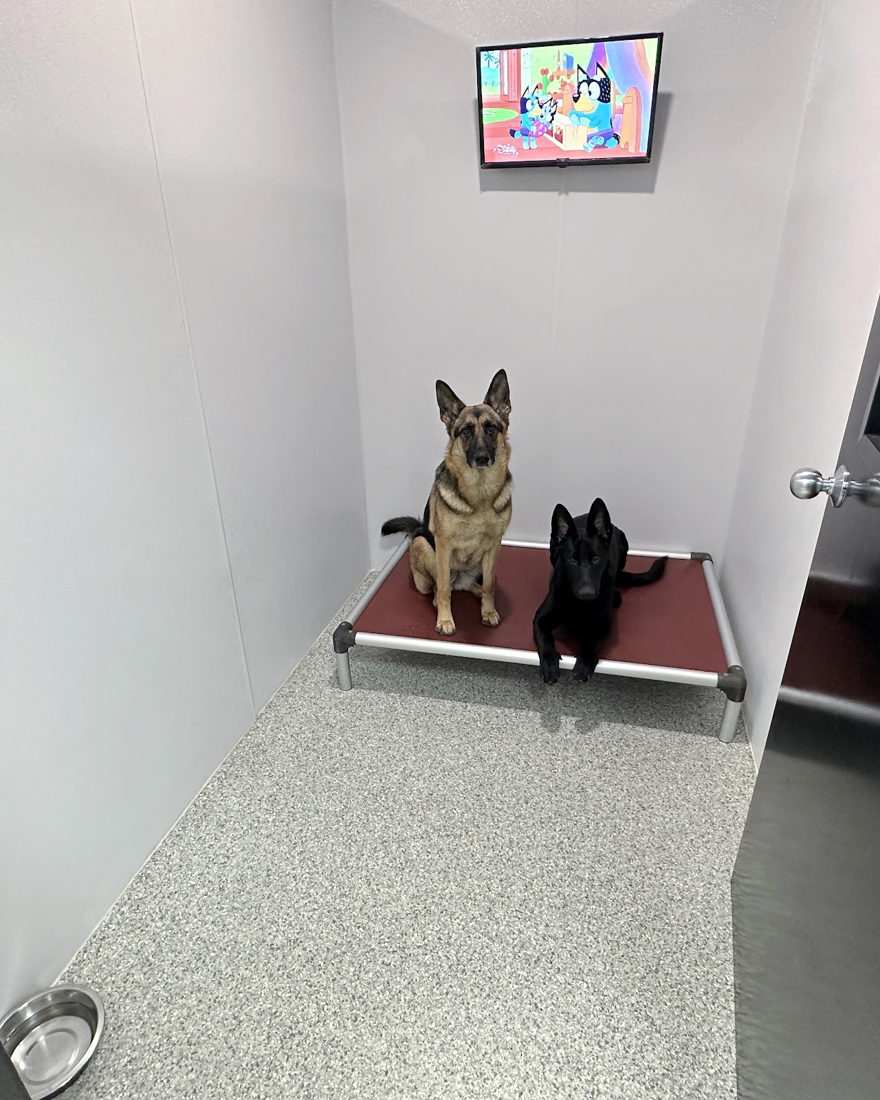 Private 5 by 8 suite with cozy furnishings